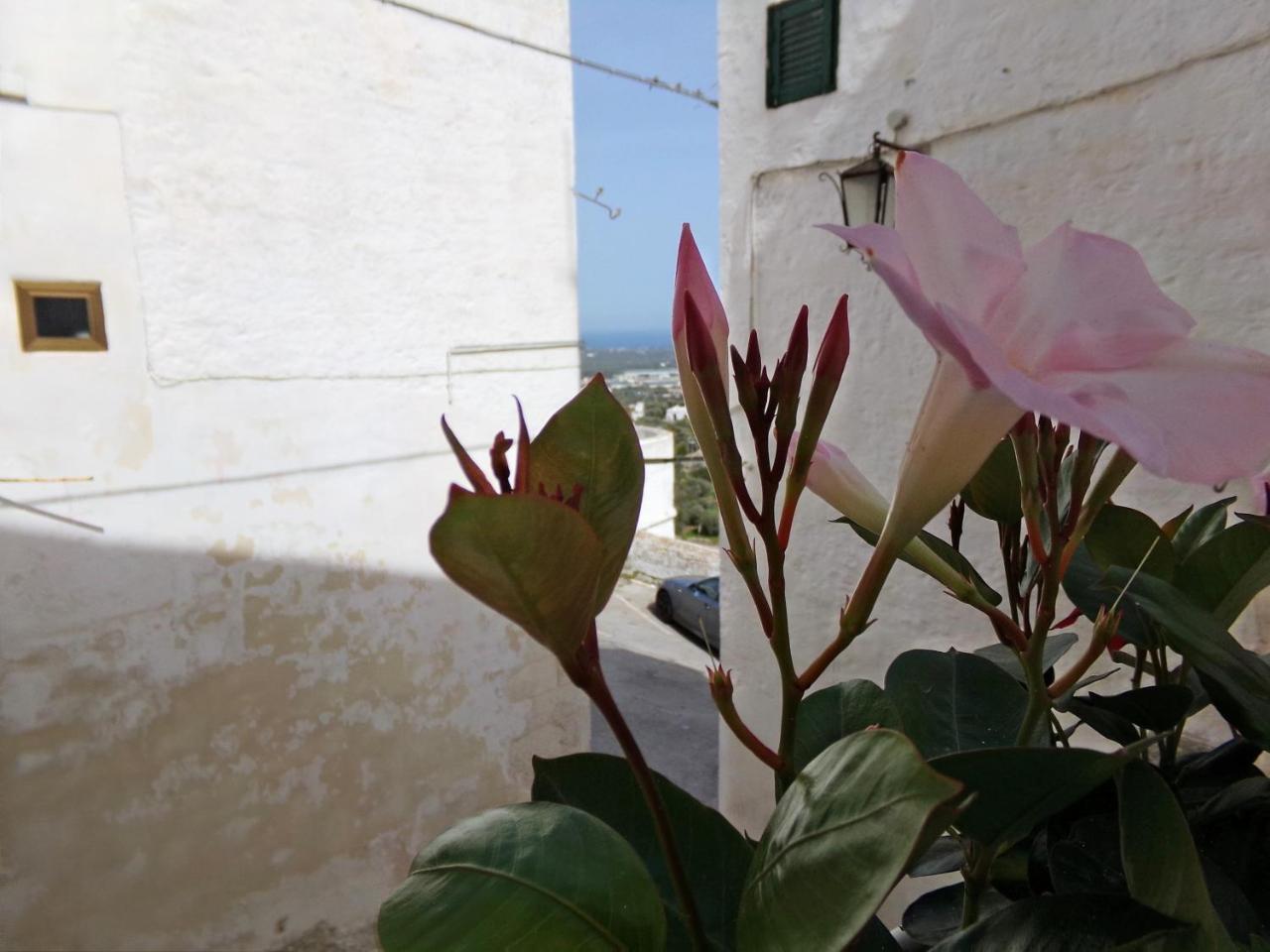 Villa Le Tre Volte Ostuni Exterior foto